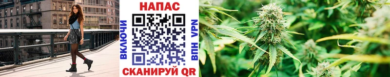 Канабис сатива  магазин продажи   Иноземцево 